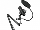 Микрофон проводной Oklick SM-700G 2.5м черный, (1456135)