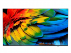 Коммерческий ТВ 75" Philips Business TV, 4K UHD, Chromecast built-in, Google Play Store, DVB-C/T/T2 Tuner, HDMI, Scheduler, Auto on/off, Crestron Connected Certified v2, Neets/Extron compatible, CMND Create & Contro (75HFL6214U/12)
