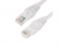 Миниатюра товара - Патч-корд Ethernet, категория CAT 5e, RJ45 штекер > RJ45 штекер, неэкранированный U/ UTP, цвет: белый, оболочка PVC нг(А)-LS. Длина: 5 м (ADV5E-PC05-PW)