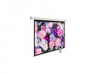 Экран Cactus 150x240см SIlverMotoExpert CS-PSSME-240X150-WT 16:10 настенно-потолочный рулонный белый (моторизованный привод), (CS-PSSME-240X150-WT)
