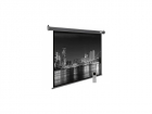 Экран Cactus 175x280см SIlverMotoExpert CS-PSSME-280X175-DG 16:10 настенно-потолочный рулонный тёмно-серый (моторизованный привод), (CS-PSSME-280X175-DG)