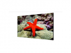 LCD-экран P2.5 DS-D2055LR-G HIKVISION, (DS-D2055LR-G)