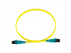 Патч-корд Panduit F92ELQ1Q1SNM002 2x9/ 125 OS1/ OS2 LC push-pull-LC push-pull 2м LSZH (F92ELQ1Q1SNM002)