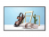 Профессиональный дисплей GoodView 65" AD display, 350cd/ m2, 24/ 7, UHD