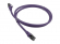 Миниатюра товара - Патч-корд Lanmaster LAN-PC45/ S6A-1.0-VI FTP RJ-45 вил.-вилка RJ-45 кат.6A 1м фиолетовый LSZH (уп.:1шт) (LAN-PC45/ S6A-1.0-VI)