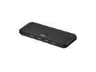 2 x 4 USB 2.0 переключатель/ 2 x 4 USB 2.0 Sharing Switch (US4224)