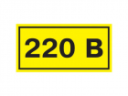 Самоклеящаяся этикетка: 40х20 мм, символ "220В" (YPC10-0220V-1-100)